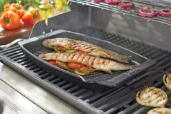 Weber® Ceramic Grill Pan 9 Weber® Ceramic Grill Pan -Garden Outdoor Shop 17886M1 900x638 d5f86cd 1 54520.1627222347